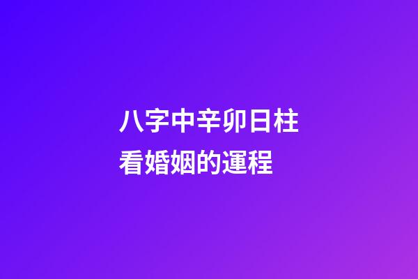 八字中辛卯日柱看婚姻的運程 (八字中辛卯日柱看婚姻的運程怎么看)-第1張-觀點-玄機派